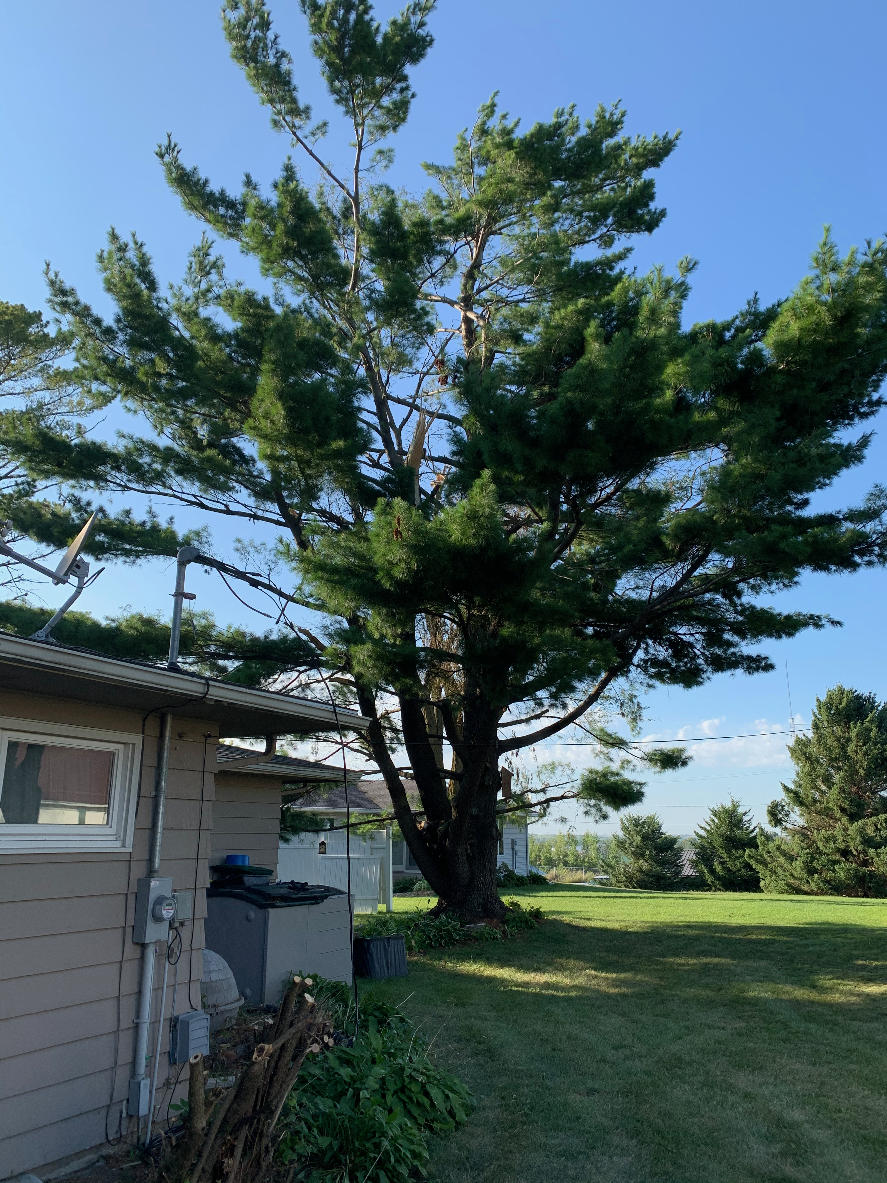 13 NE Corner of the House - After Cleanup with Alliant’s Line Hanging Limp