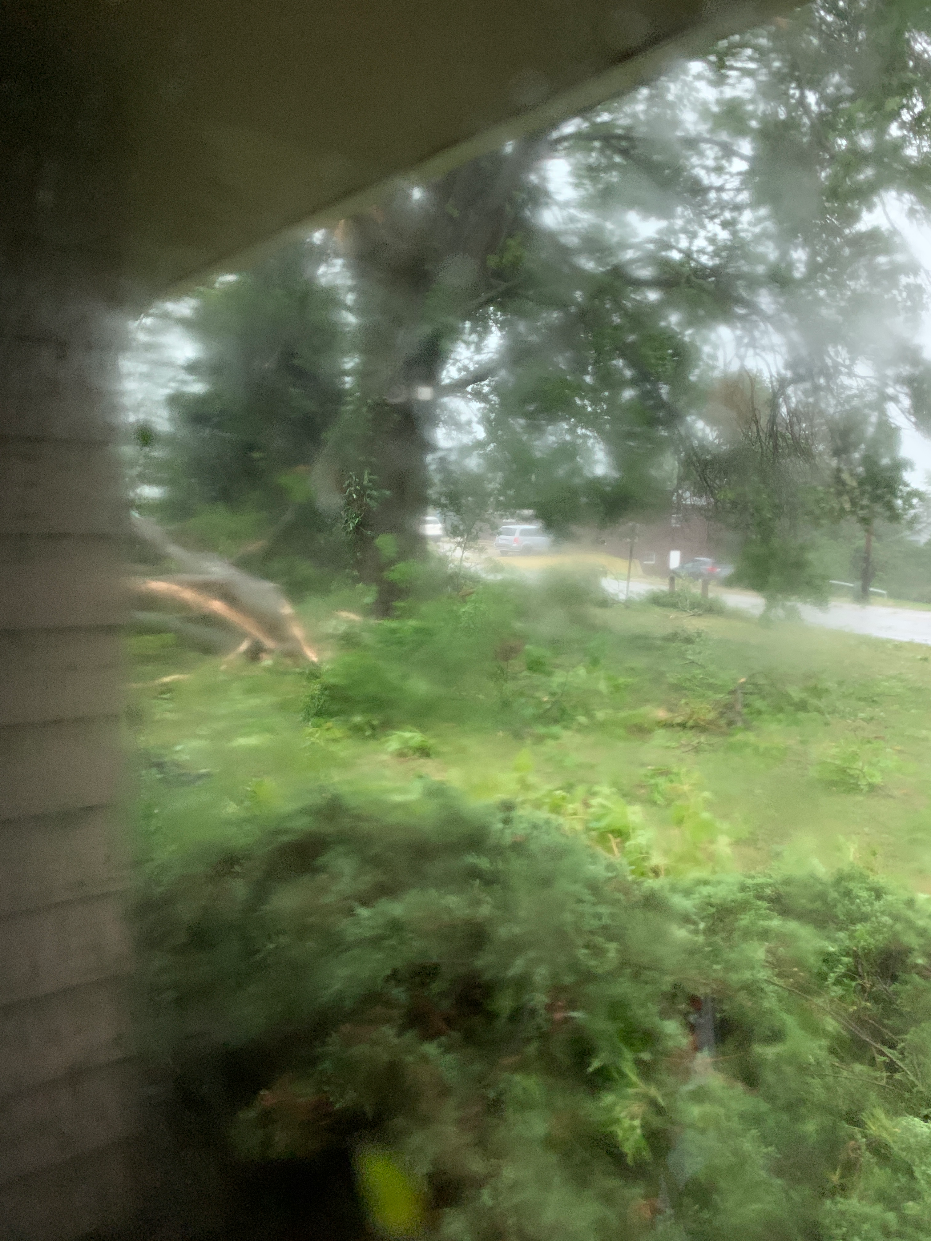 19 First Glimpse from Inside the House - South Facing Window Looking SE at the Mailboxes