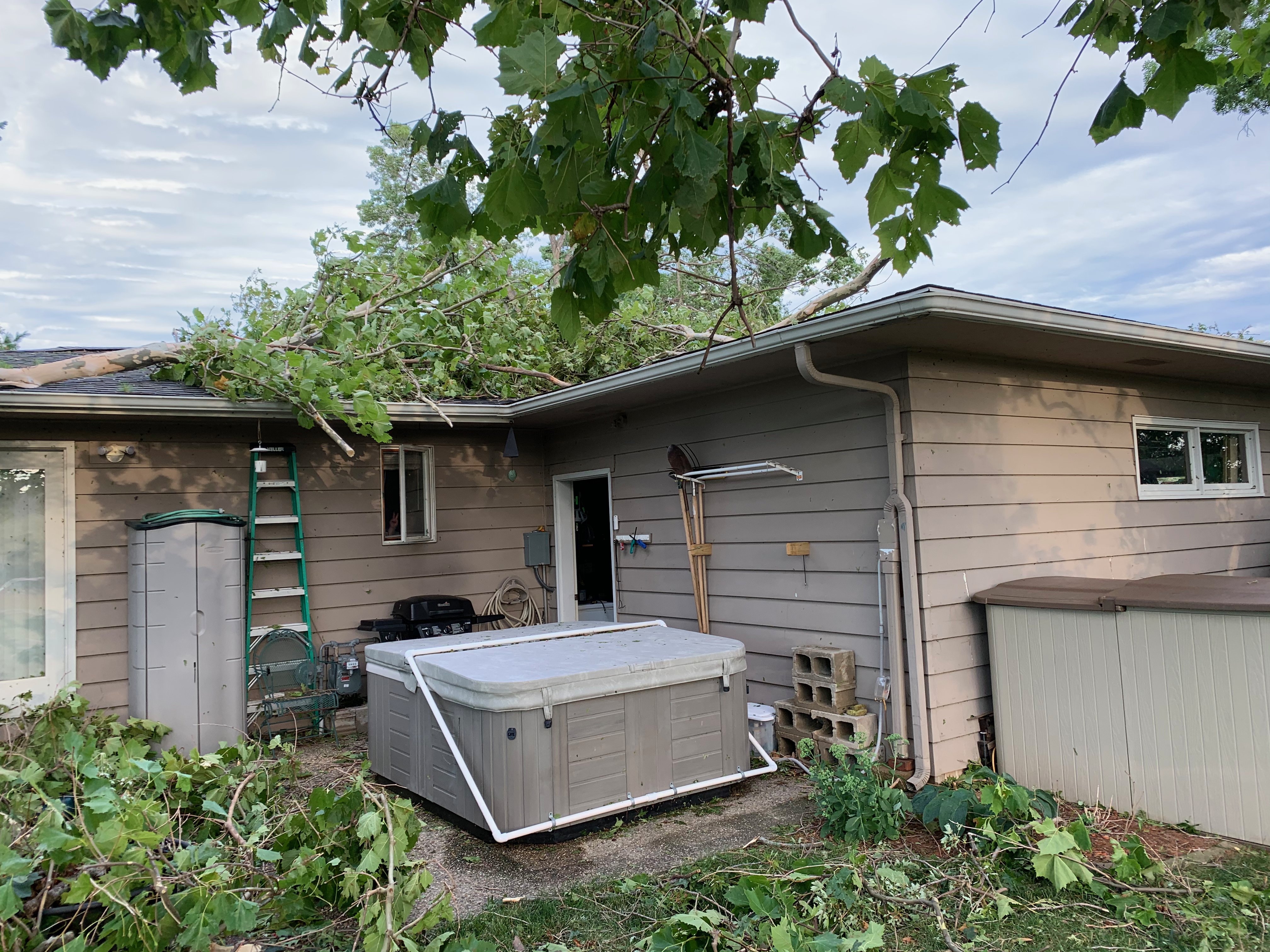 31 Looking at the Hot Tub and Limbs on the Roof