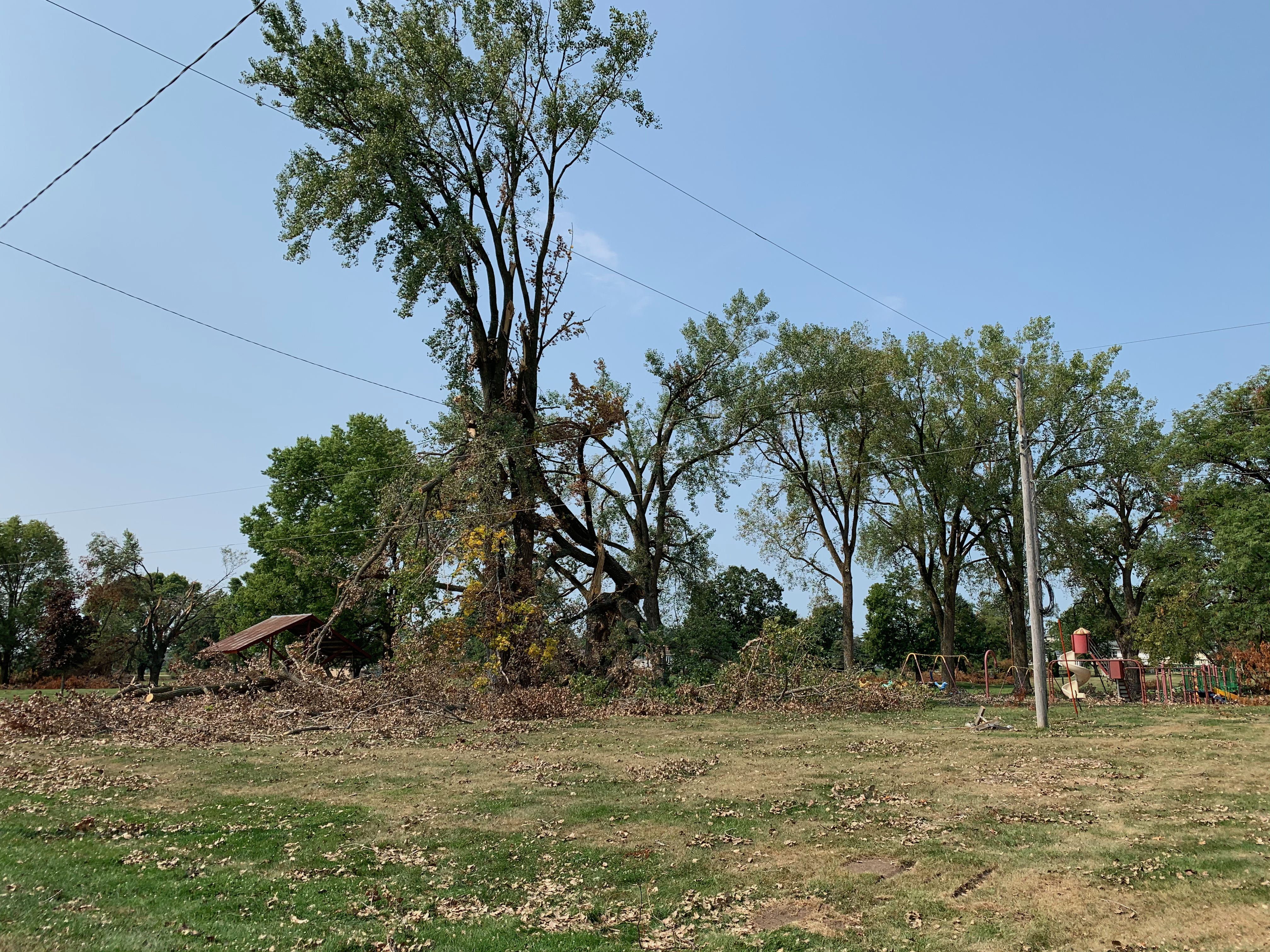 Toledo Heights City Park - After the Derecho